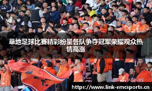 草地足球比赛精彩纷呈各队争夺冠军荣耀观众热情高涨