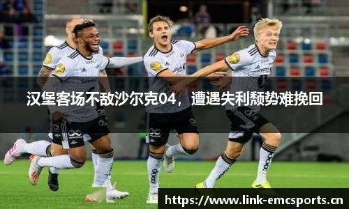 emc易倍体育平台