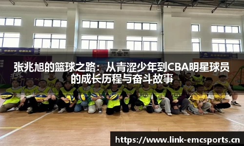 emc易倍体育官方网站